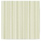 TOVAGLIA 100X100 RIGHE VERDE HD